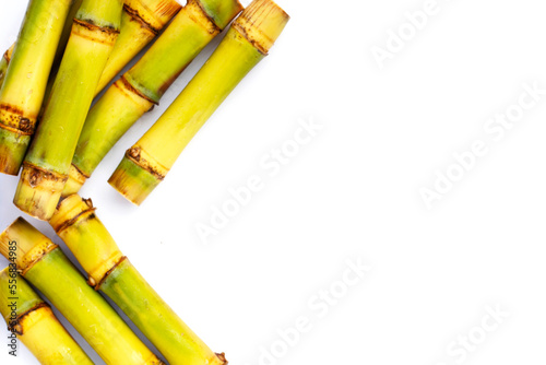 Sugar cane on white background. Copy space