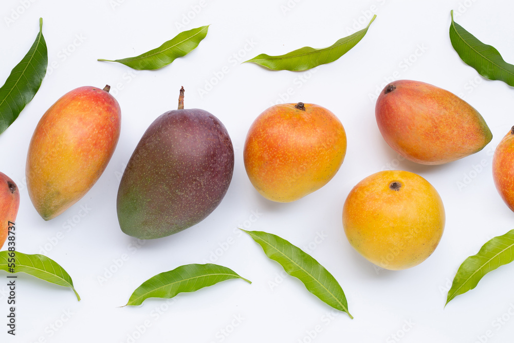 Tropical fruit, Mango on white background. Tropical fruit, Mango on white background.