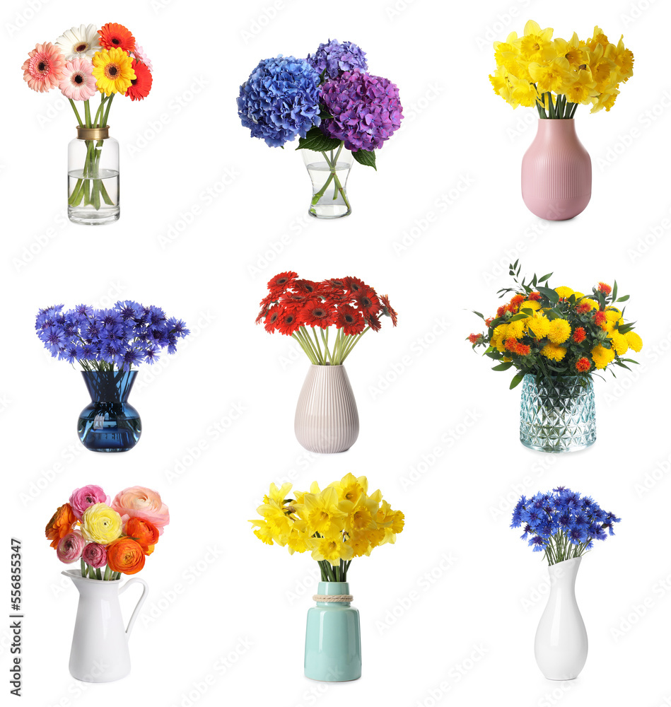 Obraz premium Collage with various beautiful flowers in vases on white background