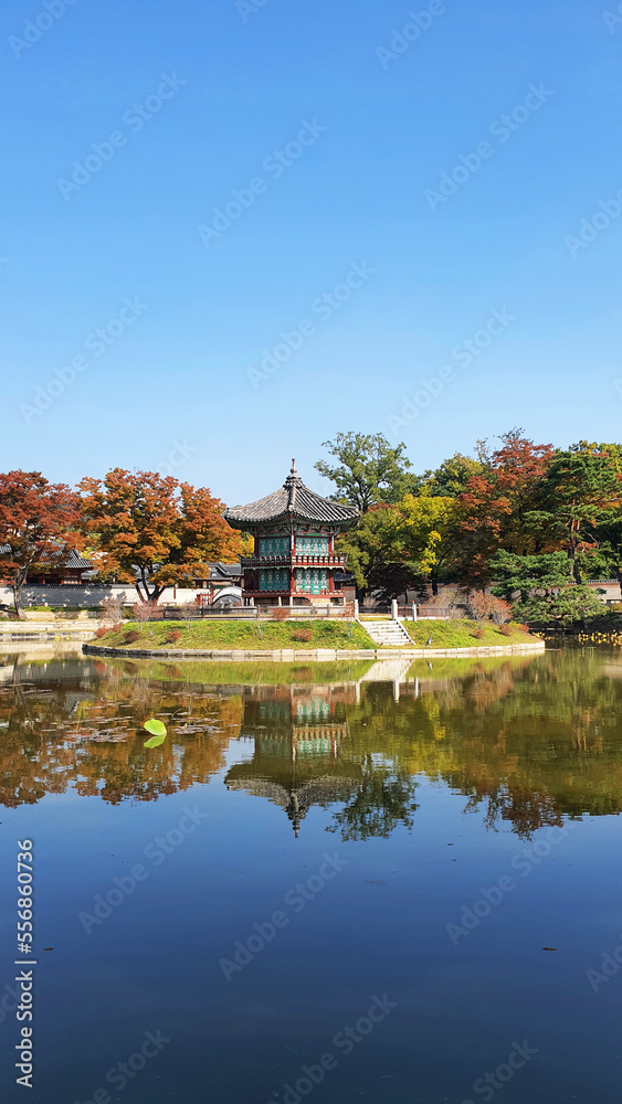 경복궁, 한국, 가을, 전통, Gyeongbokgung Palace, Korea, Autumn, Traditions