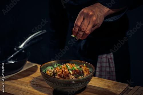Japanese Katsudon Food, pork cutlet rice bowl ,Dark Tone