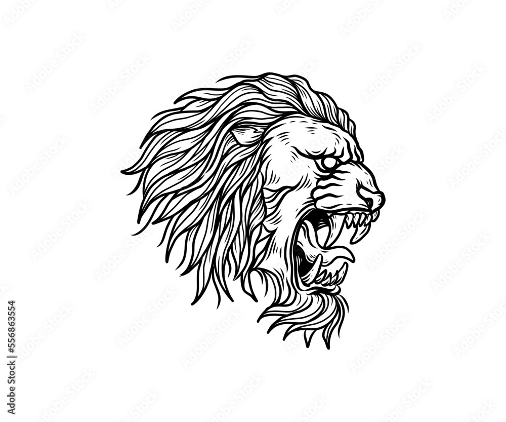 Lion head ilustration hand drawn Lion head ilustration hand drawn