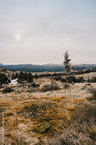 Colorado Rocky Mountain Landscape with grass and a light dusting of snow