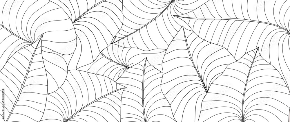 Hand drawn line art leaf branch background vector. Tropical botanical palm leaves with black white drawing contour simple style background. Design illustration for prints, wallpaper, poster, card.