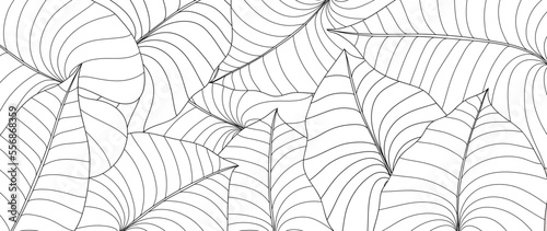 Hand drawn line art leaf branch background vector. Tropical botanical palm leaves with black white drawing contour simple style background. Design illustration for prints, wallpaper, poster, card.