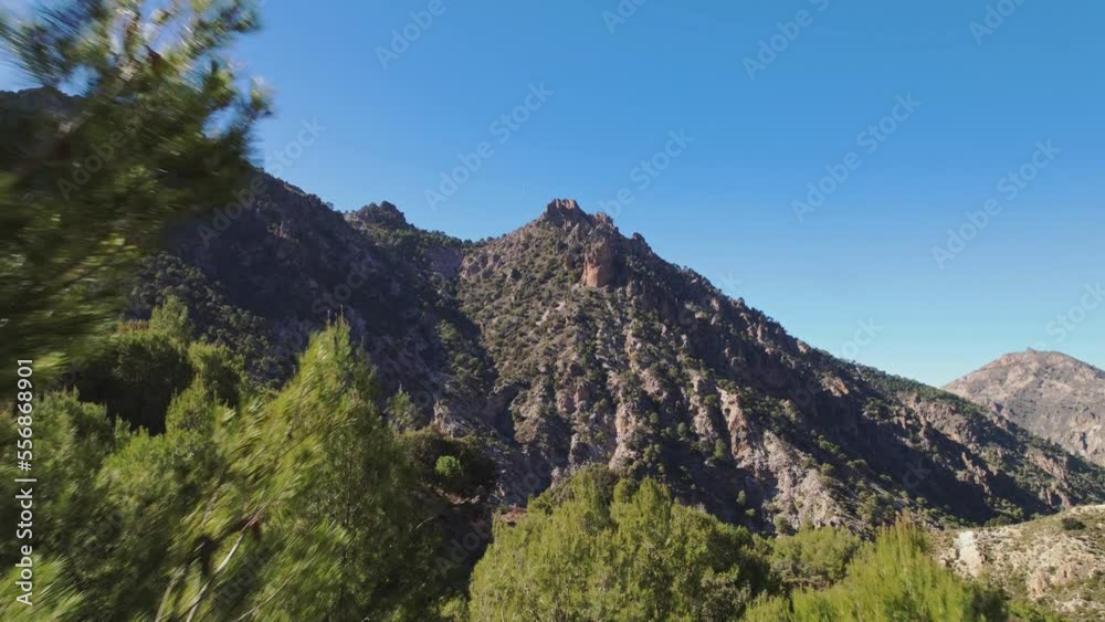 Close flight between trees and revealing of mountain peaks. Aerial view from drone. Sierra Nevada. Spain. Close flight between trees and revealing of mountain peaks. Aerial view from drone. Sierra Nevada. Spain.