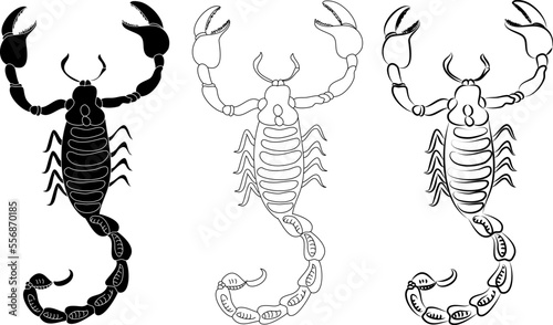 Black and white drawing scorpion. Vector illustration.scorpion colorful set and sticker design.