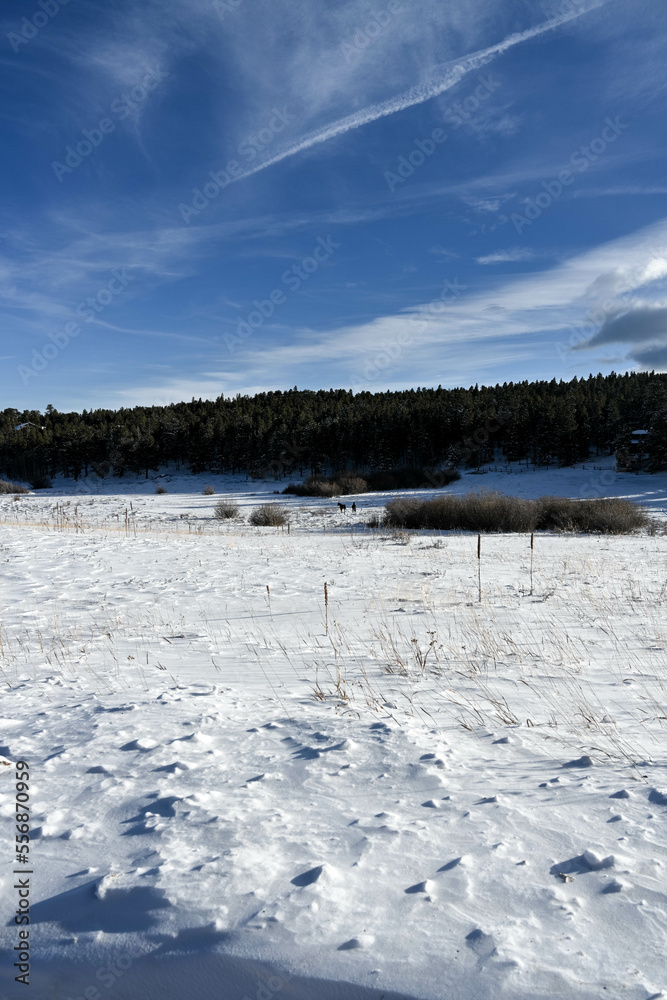 winter snowscape colorado rocky mountains