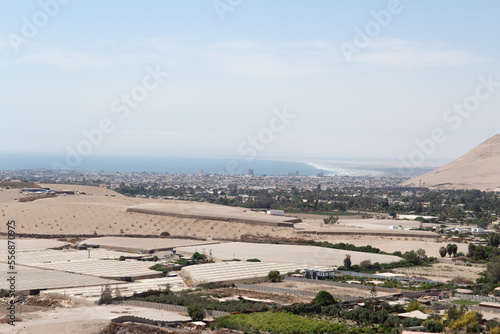 view of the valley of Azapa with the desert in the background