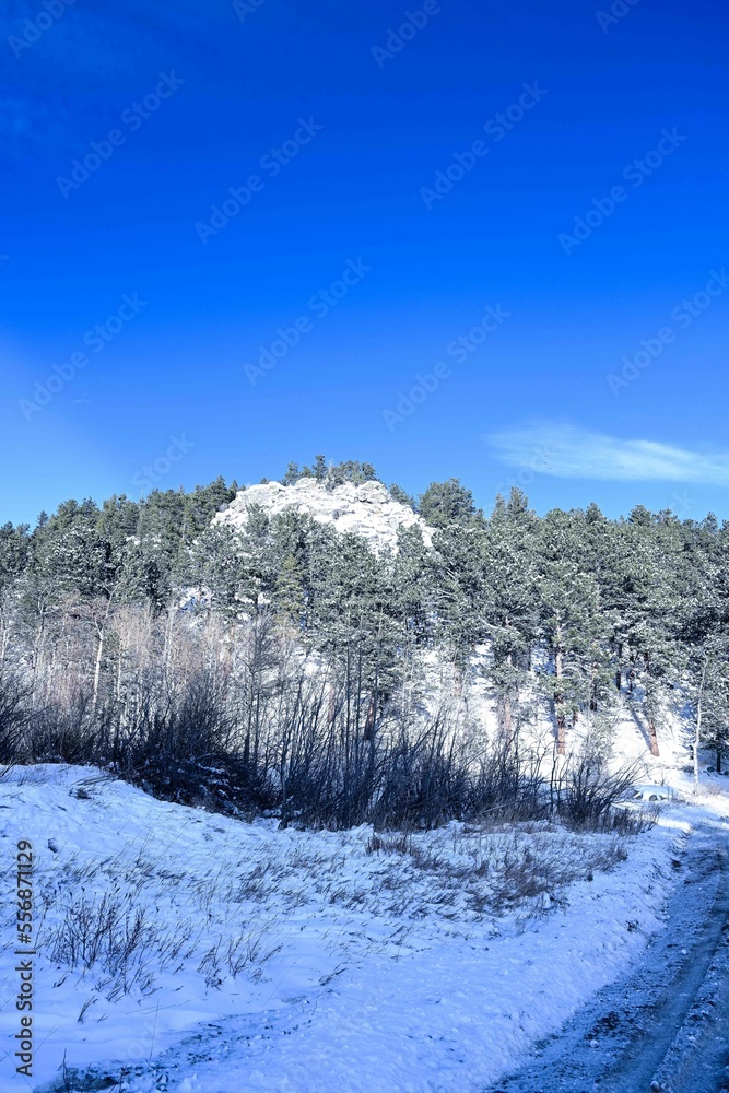 Snowy landscape with sun shining through the forest - Colorado Rocky Mountains