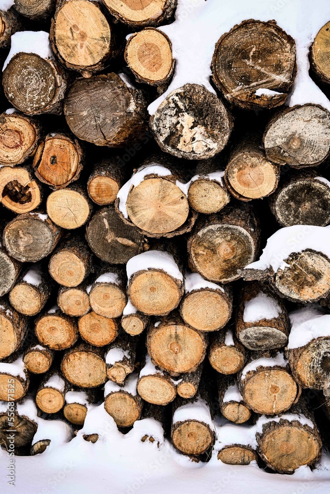 Pile of logs stacked up in deep snow - textural design element - winter aesthetic