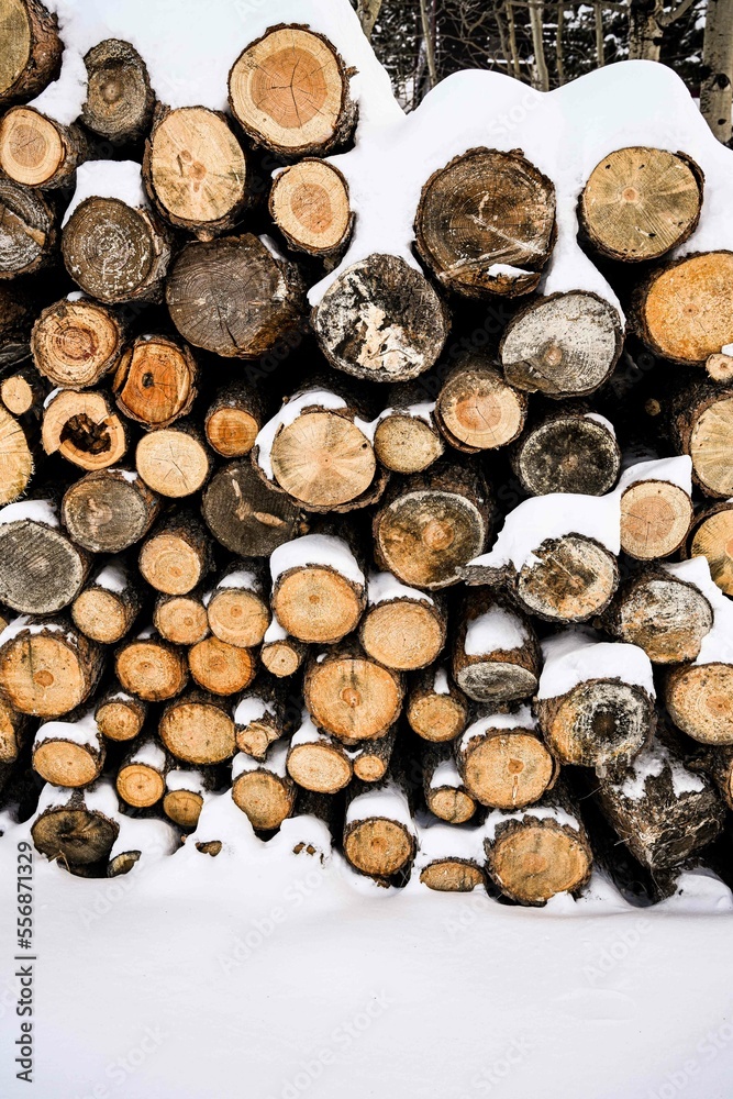 Pile of logs stacked up in deep snow - textural design element - winter aesthetic Pile of logs stacked up in deep snow - textural design element - winter aesthetic