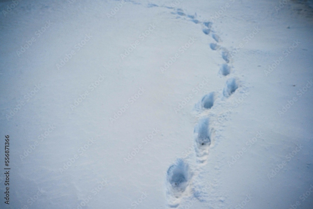 footprints in deep snow - winter vibes footprints in deep snow - winter vibes