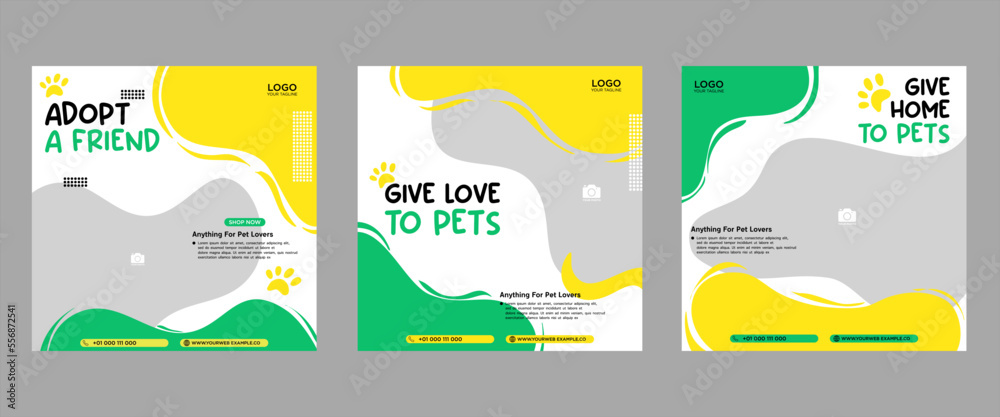 Set of three fluid beautiful color banner backgrounds pet care social media package promotion premium vector template