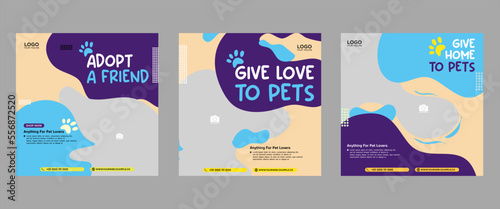 Set of three fluid beautiful color banner backgrounds pet care social media package promotion premium vector template