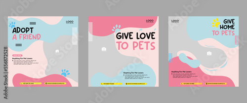 Set of three fluid beautiful color banner backgrounds pet care social media package promotion premium vector template