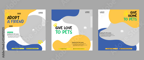 Set of three fluid beautiful color banner backgrounds pet care social media package promotion premium vector template