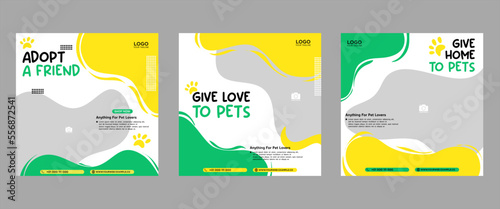 Set of three fluid beautiful color banner backgrounds pet care social media package promotion premium vector template