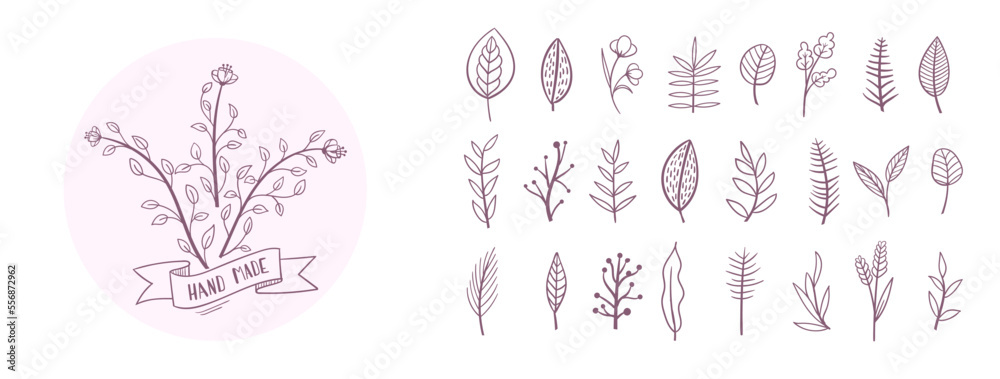 Set collection plants flowers and leaves hand drawn vector. Drawing beautiful creeper leaves, decorative set with flowers and leafs
