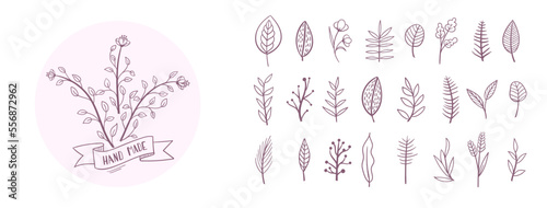 Set collection plants flowers and leaves hand drawn vector. Drawing beautiful creeper leaves, decorative set with flowers and leafs