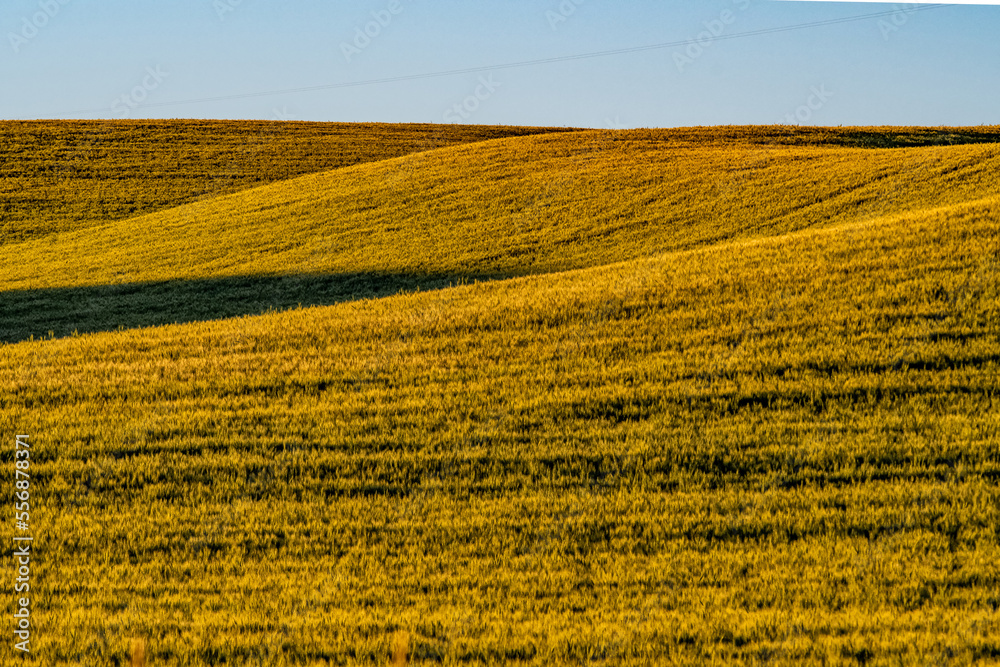 landscape scenes in palouse washington landscape scenes in palouse washington
