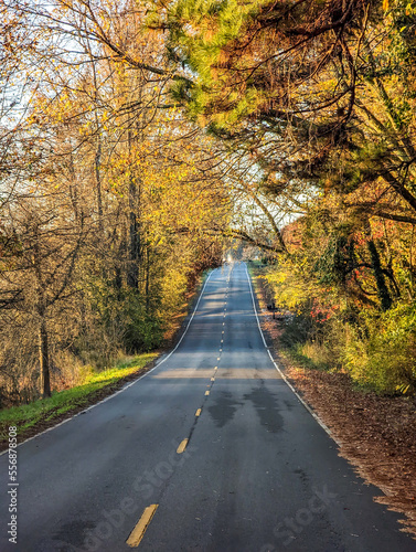 Blue Ridge Mountains in autumn in North Carolina © digidreamgrafix