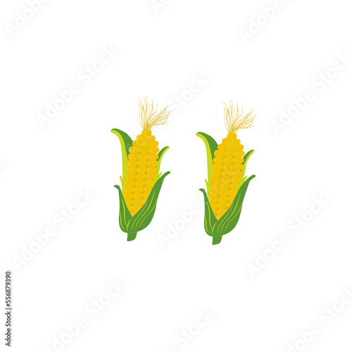 Corn cobs vector cartoon flat icon of sweet vegetable Isolated of white background, illustration of corn fruit