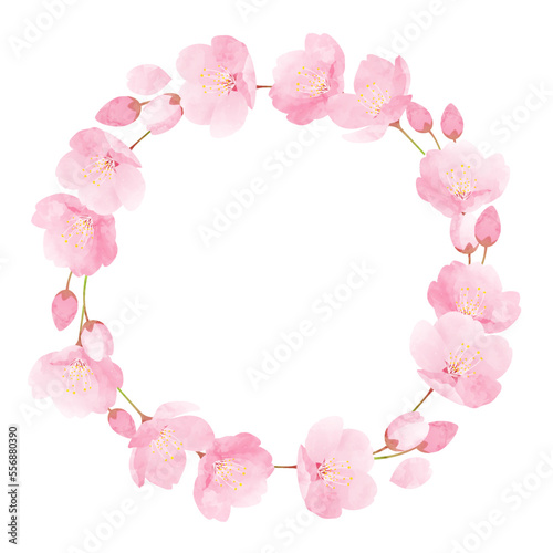 Ê∞¥ÂΩ©„ÅÆÊ°ú„ÅÆËä±„ÅÆ„Éô„ÇØ„Çø„Éº„Ç§„É©„Çπ„Éà„Éï„É¨„Éº„É†ËÉåÊôØ