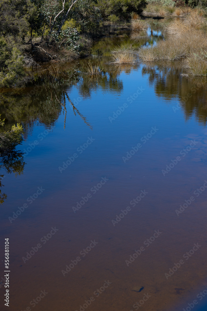 river reflections of native vegetation and blue sky river reflections of native vegetation and blue sky