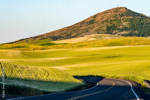 landscape scenes in palouse washington photo