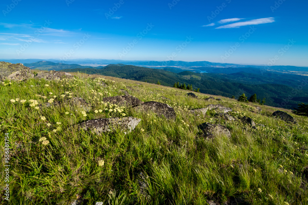 Naklejka premium Beautiful scenic nature views at spokane mountain in washington state