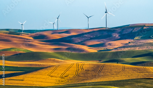 landscape scenes in palouse washington photo