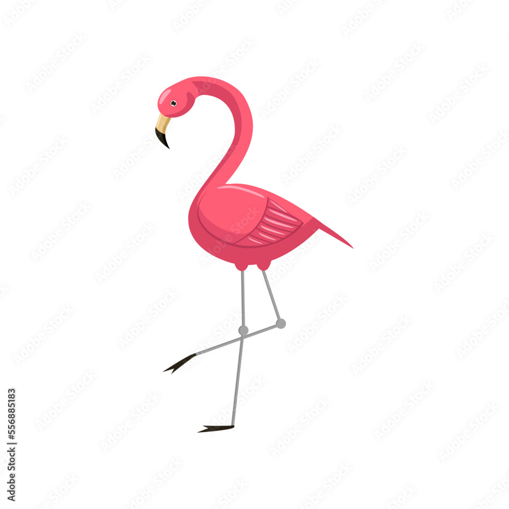 Pink flamingo vector illustration. Drawing of pink flamingo. Summer holiday, decoration, nature, paradise, food concept for greeting card