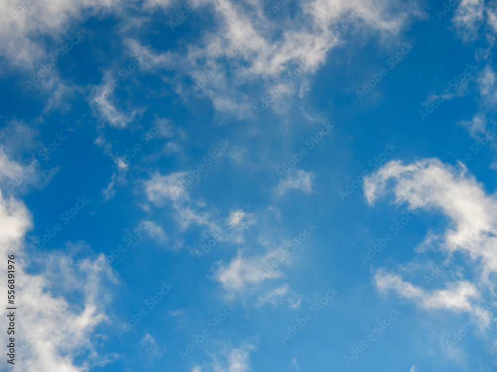 Fototapeta premium Fluffy soft clouds against a bright blue sky