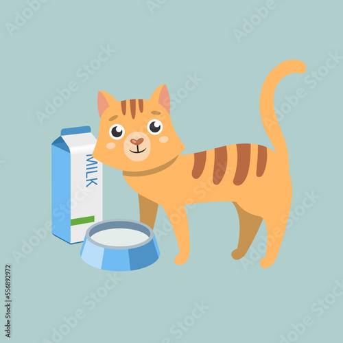 Cute orange cat cartoon character with milk box illustration. Comic domestic animal with milk or water in carton box isolated on blue background. Pets, food concept