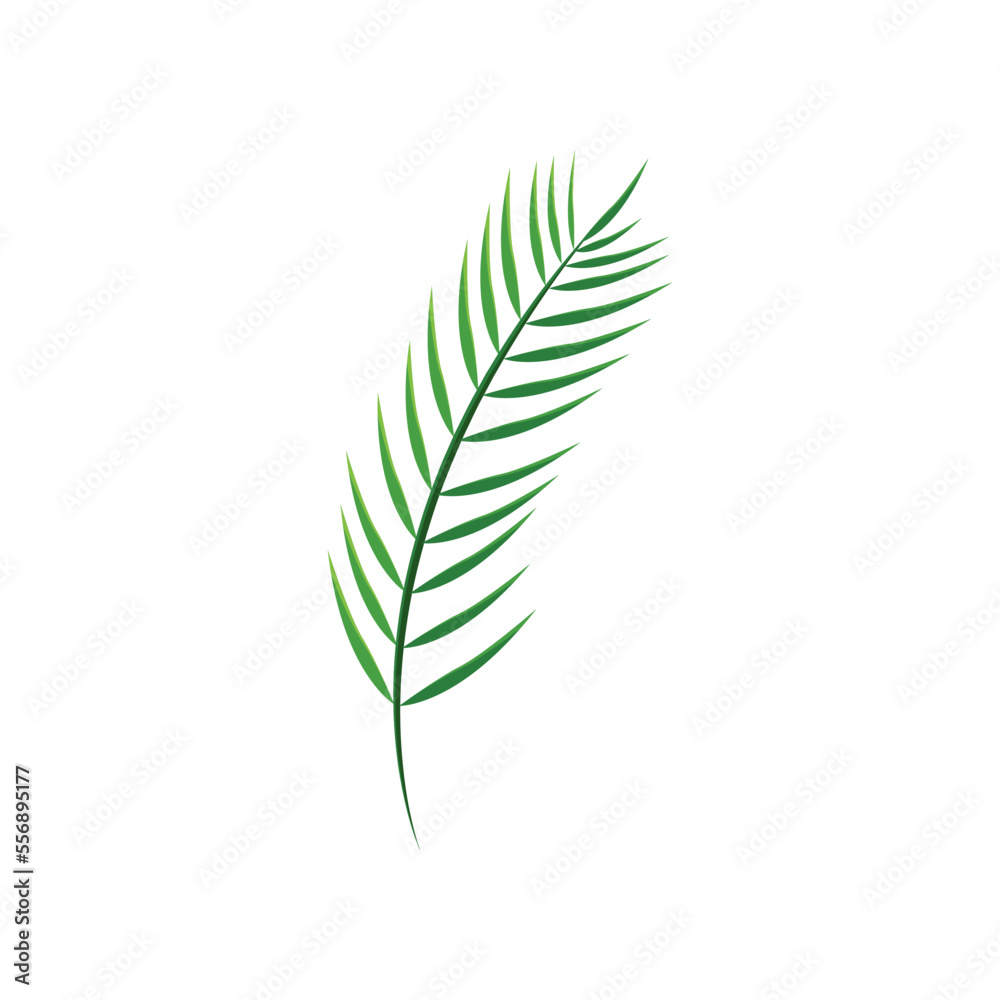 Palm leaf vector illustration. Drawing of palm leaf. Summer holiday, decoration, nature, paradise, food concept for greeting card