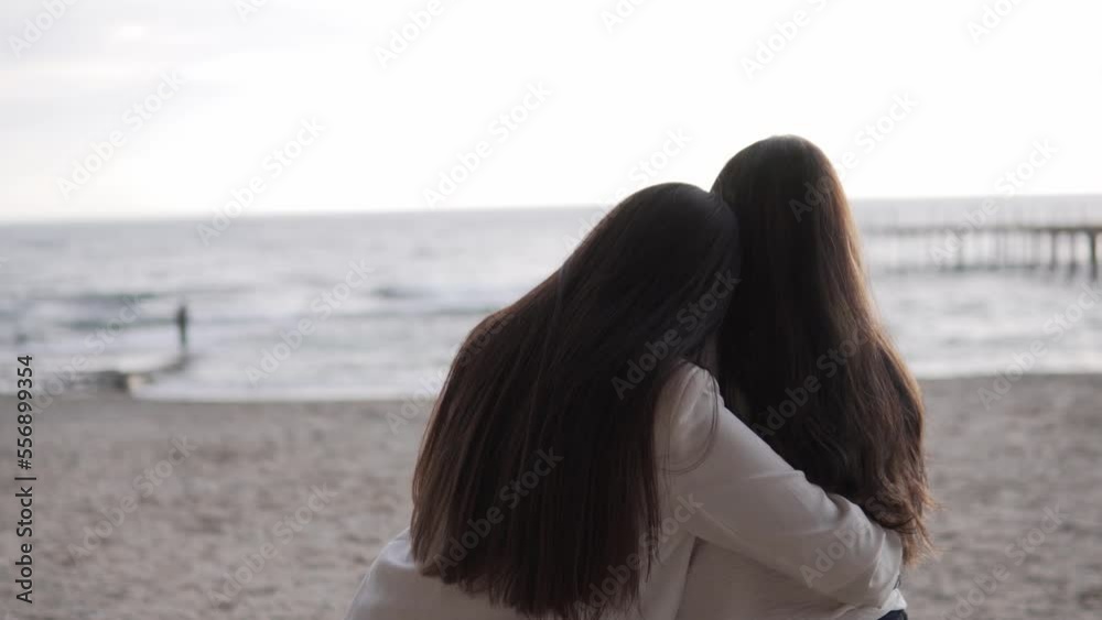 View from behind, Adult daughter hugging her beloved mother, Evening at the sea. Beautiful dark-haired women. View from behind, Adult daughter hugging her beloved mother, Evening at the sea. Beautiful dark-haired women.