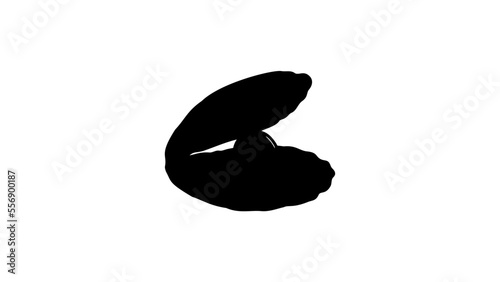 Shell with a pearl, silhouette