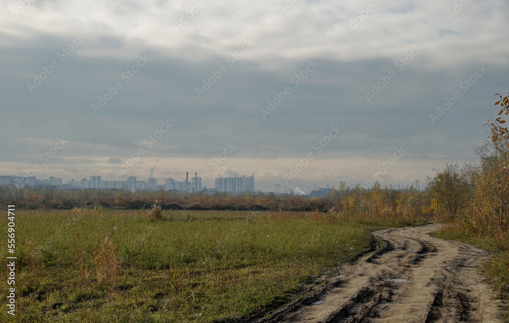 Photo of the Kanonersky Island in autumn, St. Petersburg, view of the country road and the city in the distance