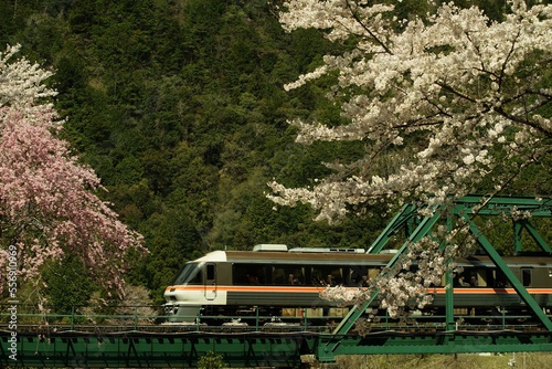 Foto 桜咲く高山本線を走るキハ85系ワイドビューひだ