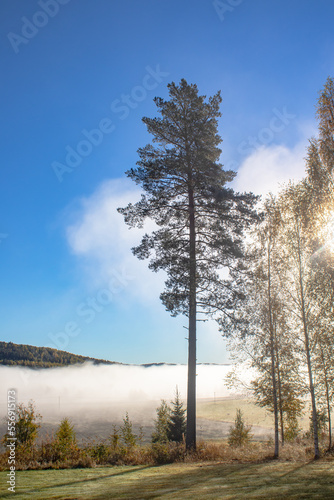 Autumn morning fog in the valley in Swedish countryside