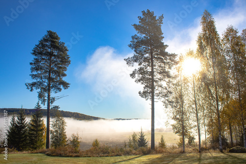 Autumn morning fog in the valley in Swedish countryside
