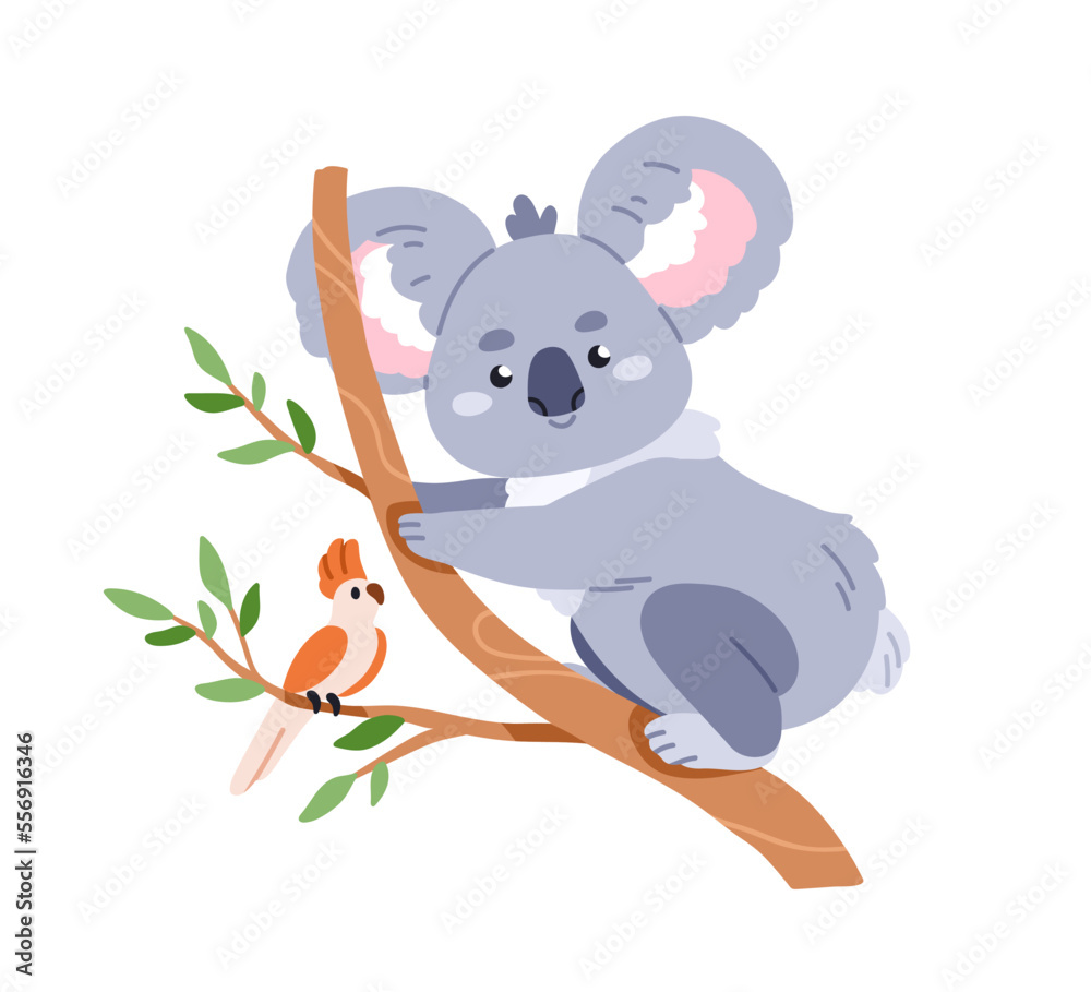 Cute koala and bird friend on tree branch. Happy baby animal, Australian bear. Adorable funny friendly jungle character. Childish nursery flat vector illustration isolated on white background Cute koala and bird friend on tree branch. Happy baby animal, Australian bear. Adorable funny friendly jungle character. Childish nursery flat vector illustration isolated on white background