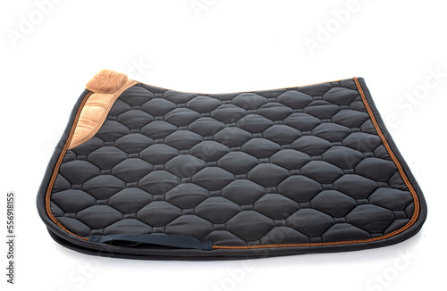 saddle cloth in studio