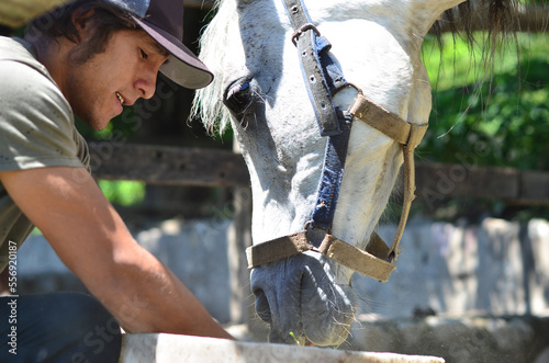 Joven latino alimentando caballos con alfalfa y sus manos en el potrero