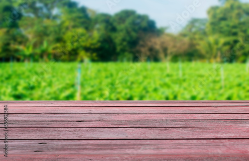 Beautiful wooden floor and green farm vegetable garden background Agricultural industry and product business theme