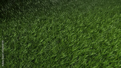 Wallpaper Mural green grass clouse up with stadium lights backgorund Torontodigital.ca