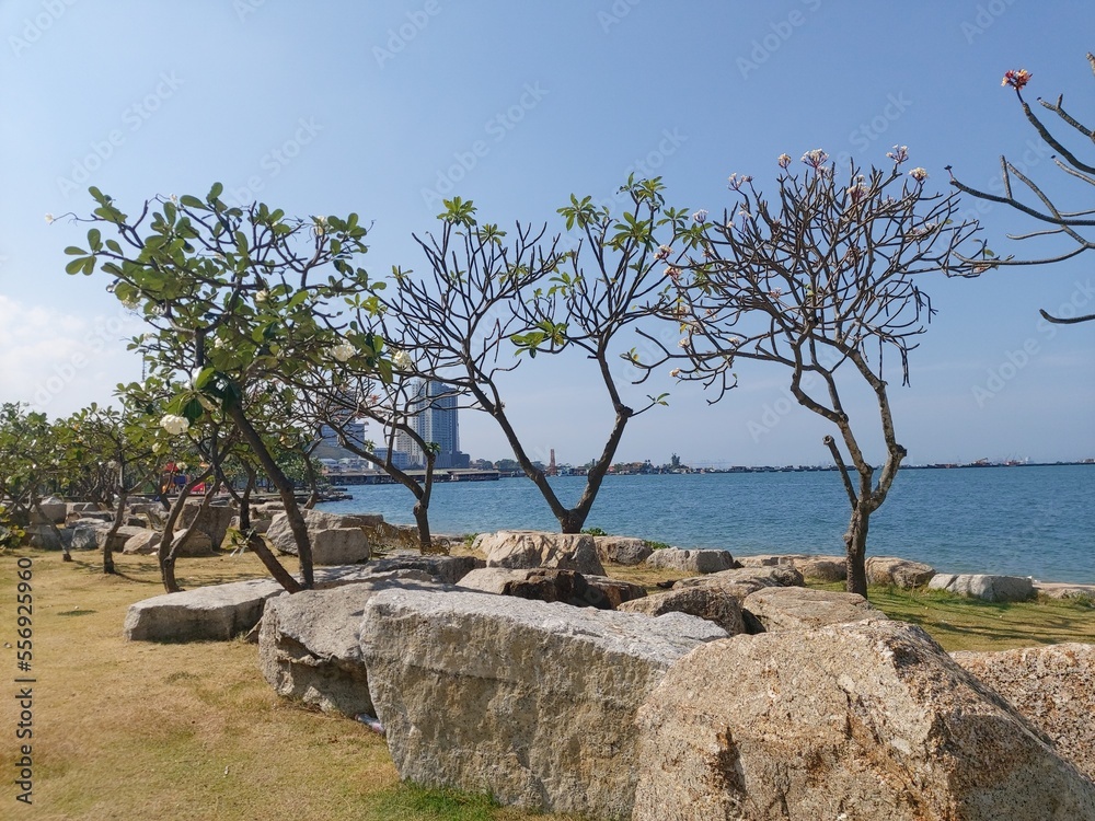 public park by the beach in Sriracha,Chonburi, Thailand