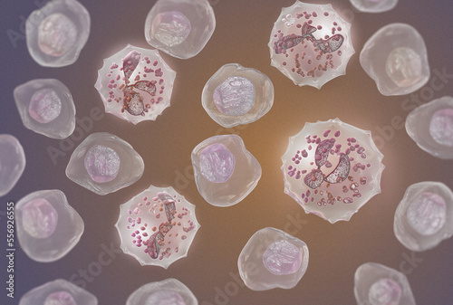 Medical science background, Neutrophil cell (leukocyte) segmented neutrophil in blood smear, 3d rendering