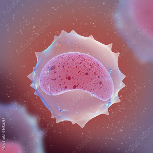 Medical science background, Monocytes, large leukocytes of the mononuclear macrophage system, innate immunity cells, carry pattern recognition receptors, 3d rendering photo